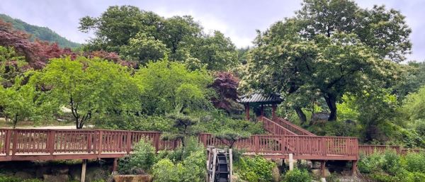 울미숲-캠핑장-산책로