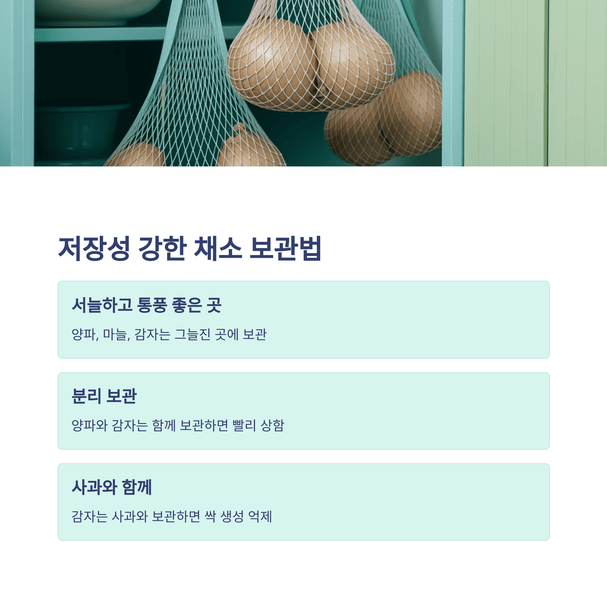 저장성강한 채소 보관법