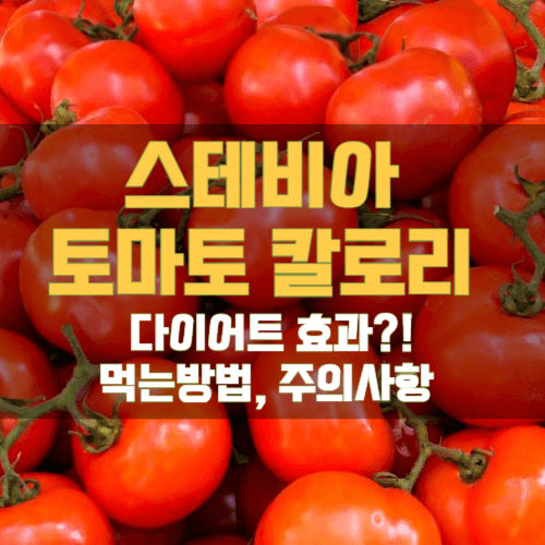 스테비아 토마토 칼로리