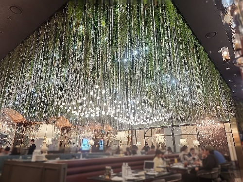 디라이프스타일키친