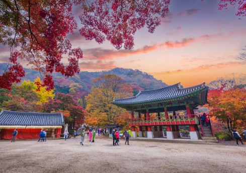 내장산-단풍축제-백양사