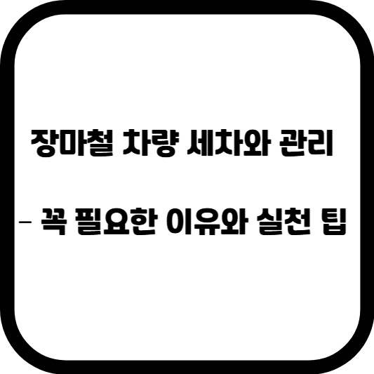 장마철 차량 세차와 관리 – 꼭 필요한 이유와 실천 팁