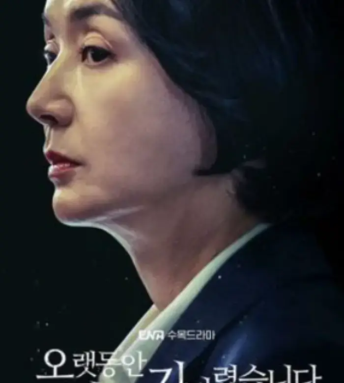배종옥-드라마-포스터