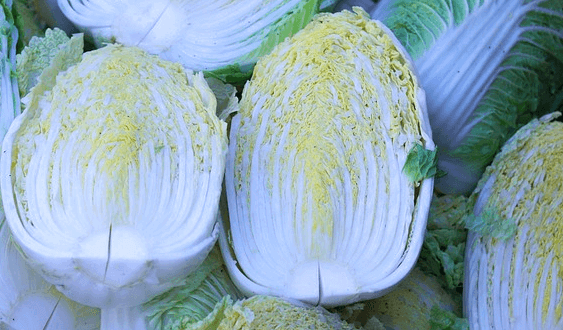 통배추를 반으로 자른 모습으로 여러개가 있다. 배추잎은 하얀색 대와 노란색이 섞인 이파리가 있다. 잎은 매우 싱싱하다.