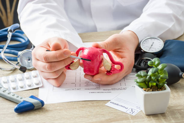 자궁근종으로 힘들다면? 자궁근조용해술로 치료 가능성 확인하세요