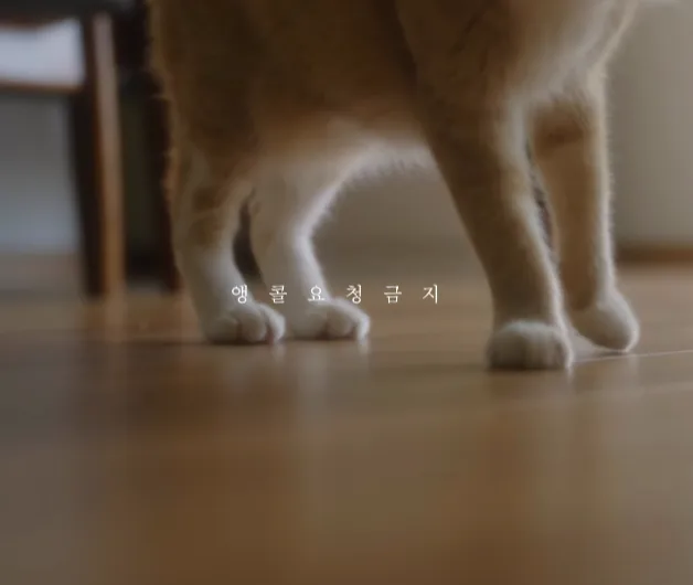 로이킴 사진