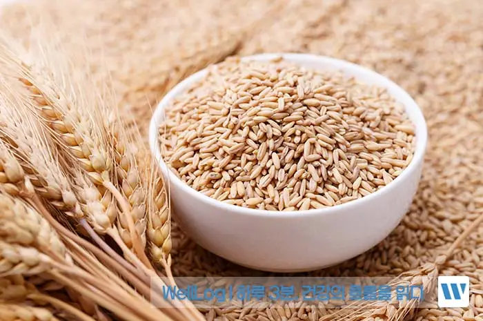 카무트 효소 효능