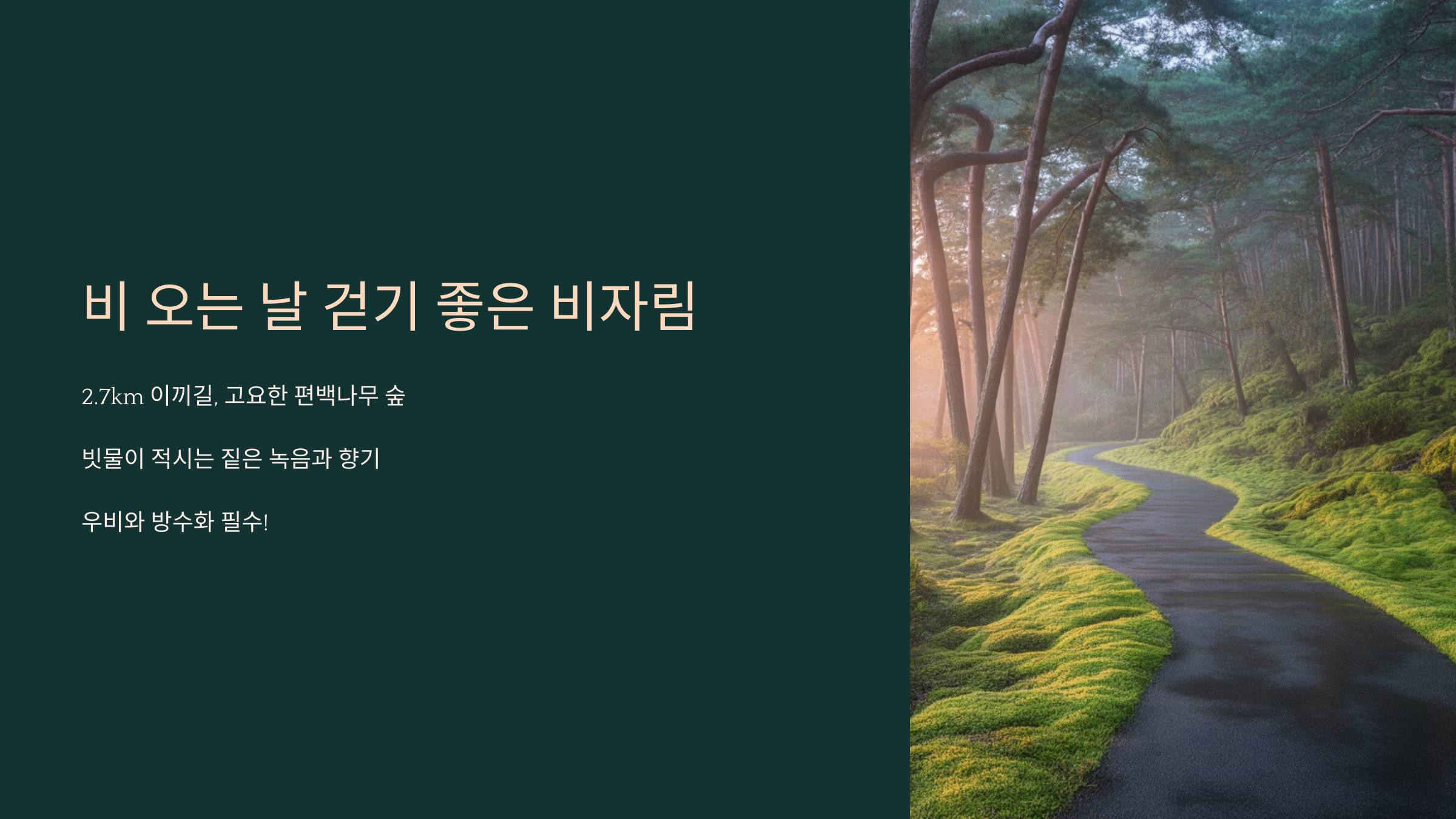 비 오는 날 걷기 좋은 비자림