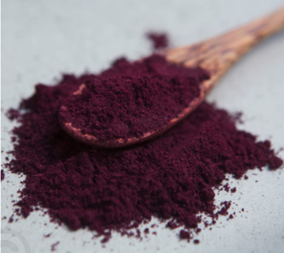 하스카프베리 효능 및 하스카프베리즙 추천 올바른 선택기준 NFC 착즙 방식 WCS 비교 정리