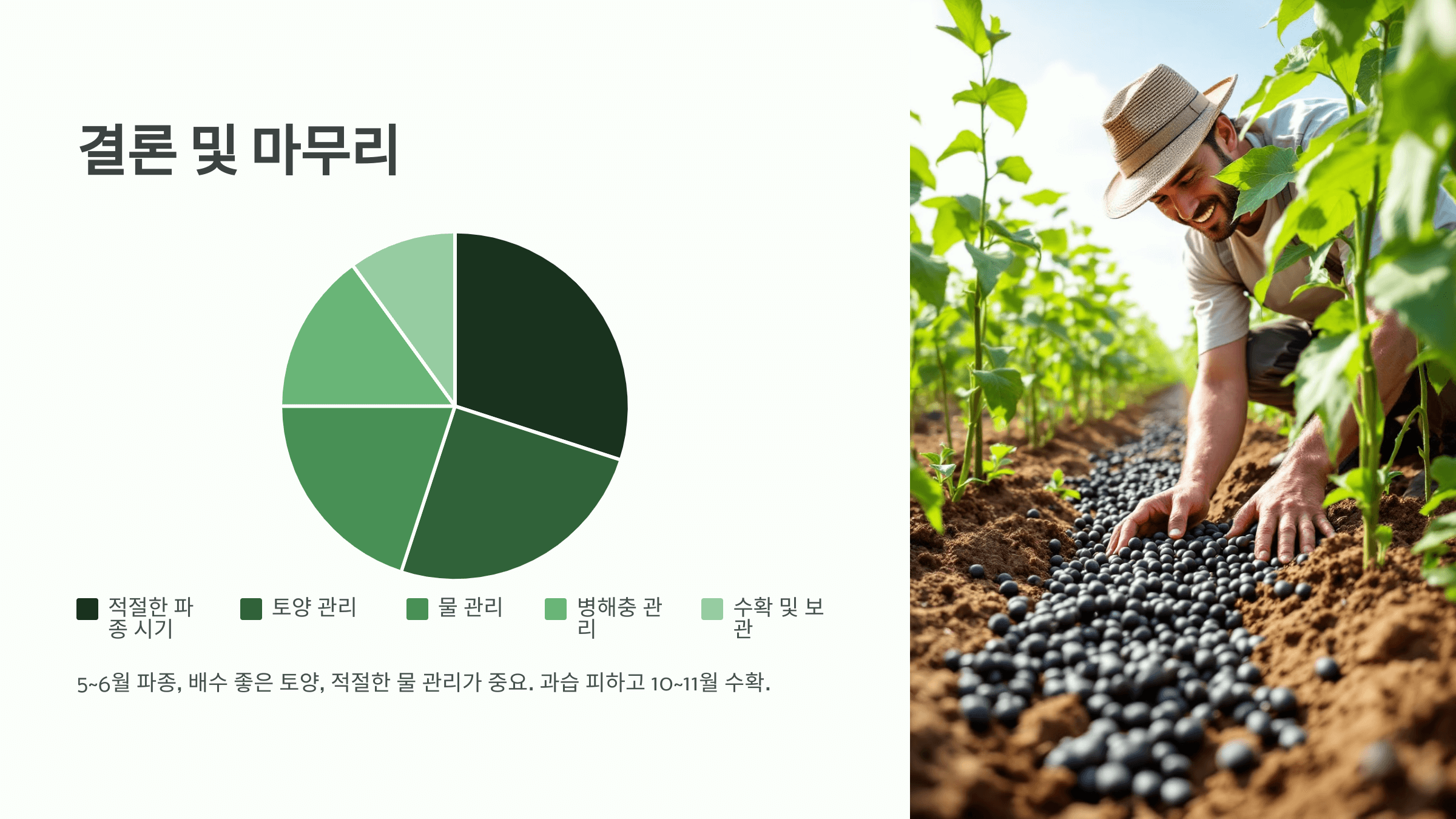 서리태 사진입니다.