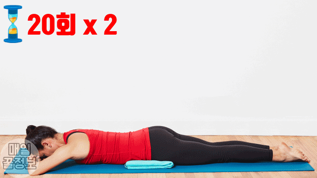 최고의 힙업 운동 5가지 힐비츠, 애플힙 운동, 엉덩이 살빼는 운동, 다이어트 팁줌 매일꿀정보