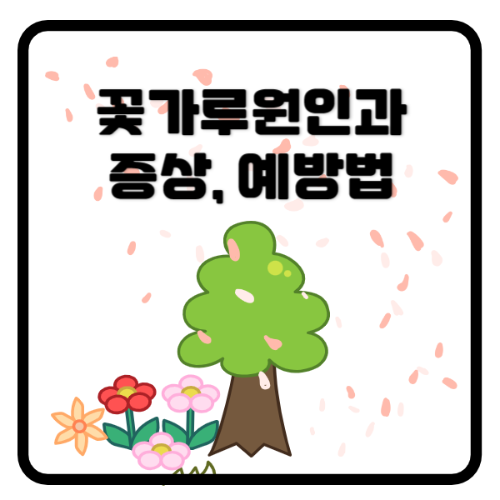 꽃가루알레르기증상및예방법