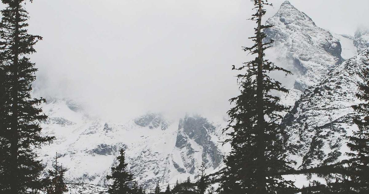 AI home training, smart health, digital wellness