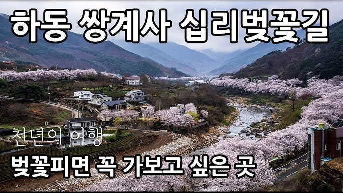 쌍계사 벚꽃길