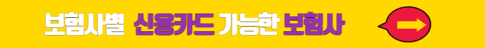 보험사별 신용카드 가능한지 확인