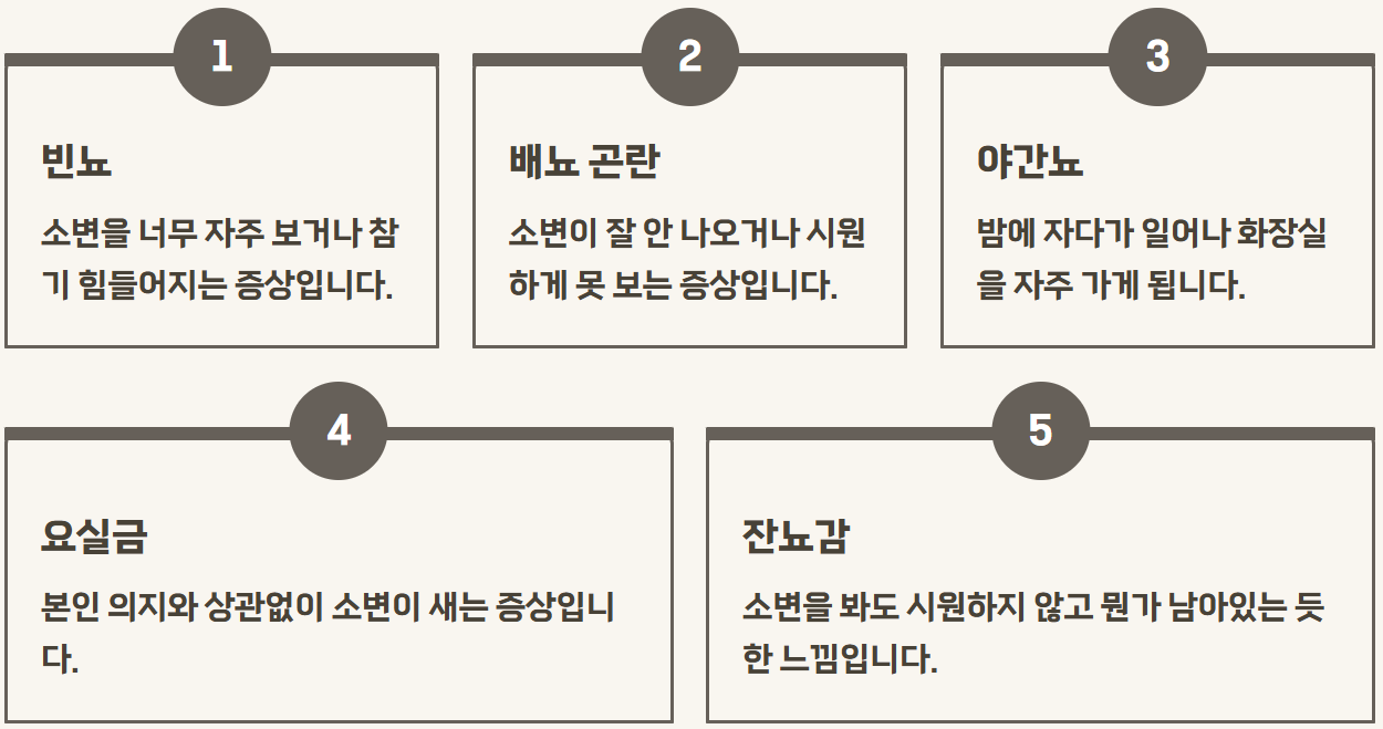 신경인성 방광 질환 원인