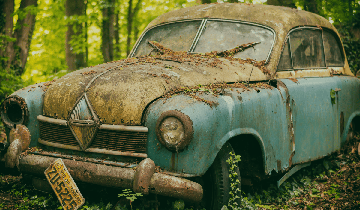 조기폐차_대상차량_확인_19