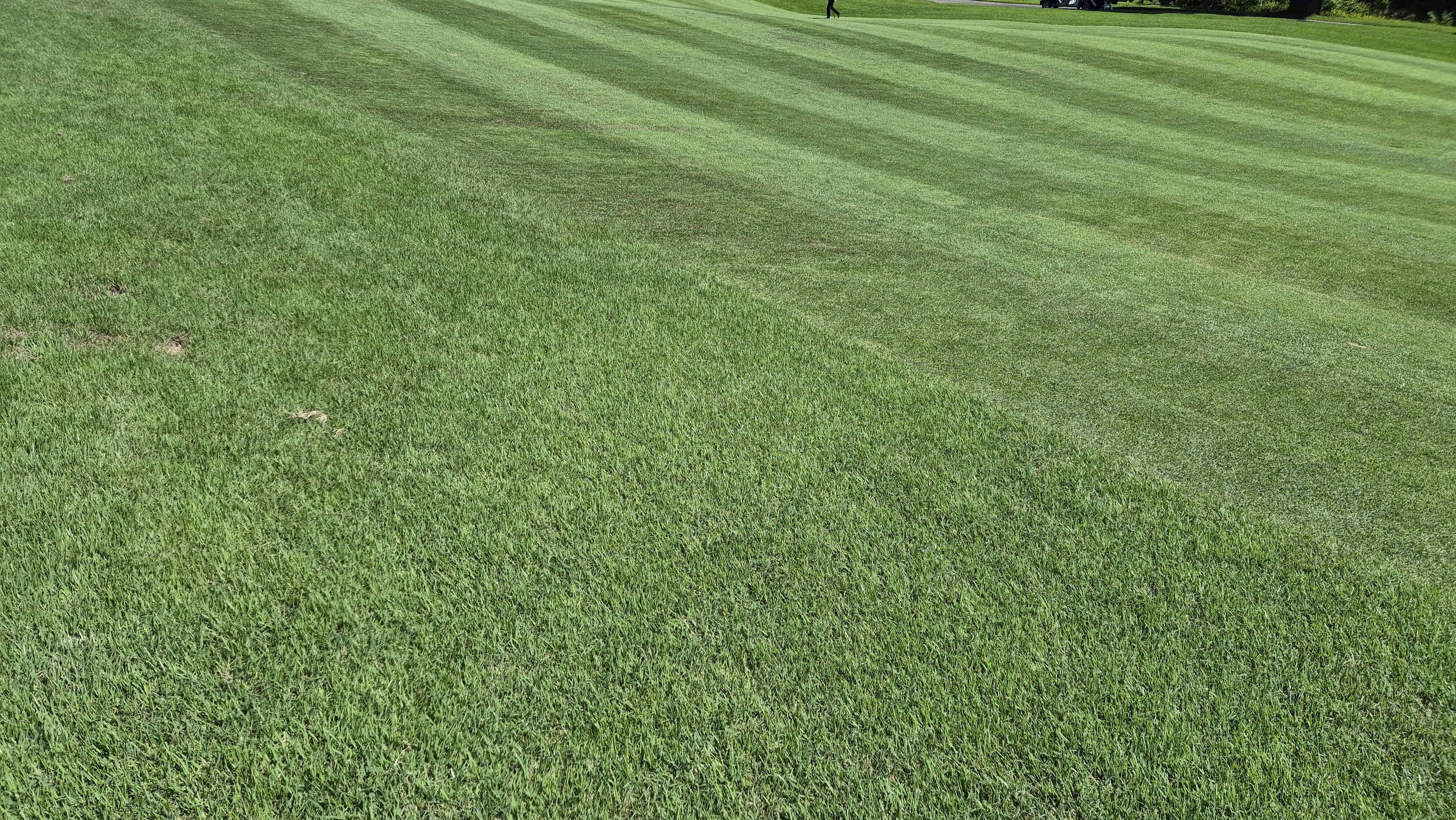 SG 아름다운cc 라운드 후기