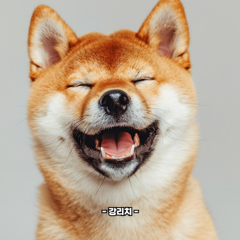 강아지 닭가슴살 효능