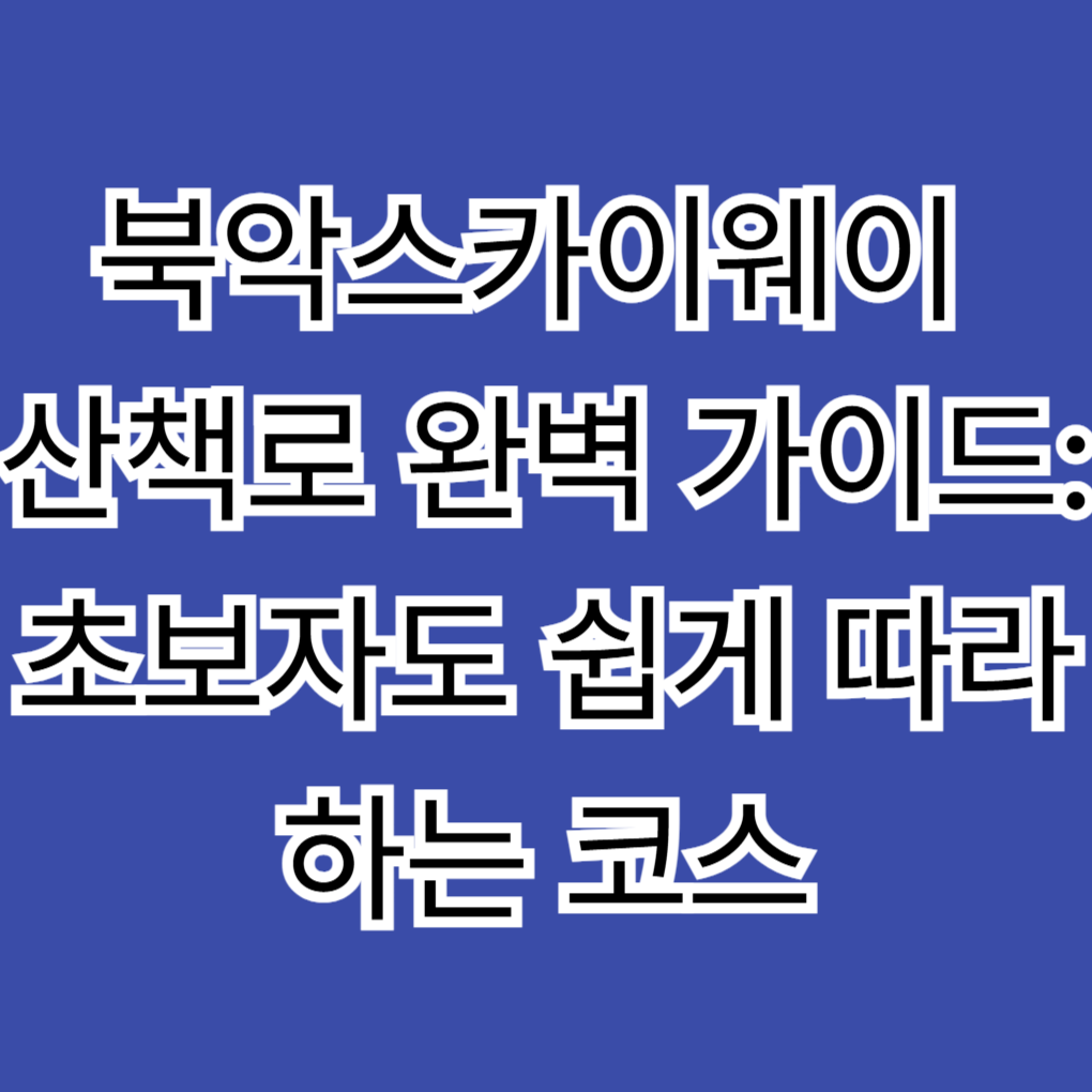 북악스카이웨이 산책로 완벽 가이드: 초보자도 쉽게 따라하는 코스