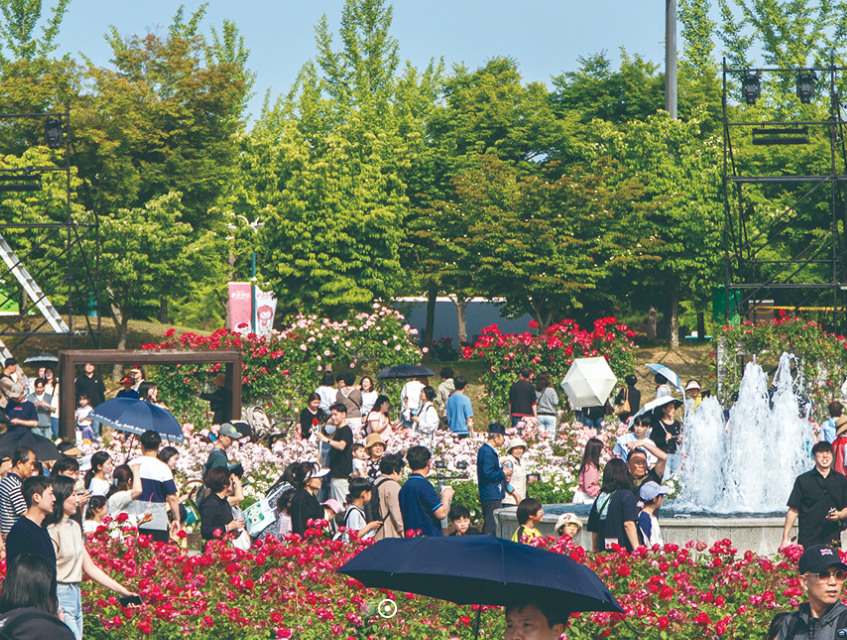 2025 울산대공원 장미축제