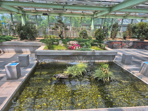 사계식물원 내부의 작은 연못과 잘 꾸며진 실내 정원