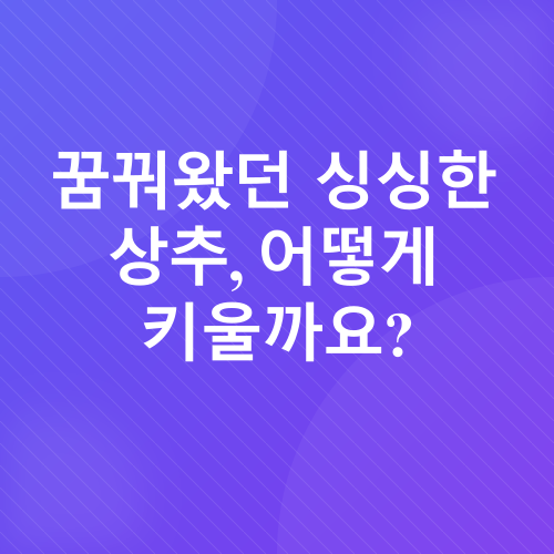 홈파밍_1