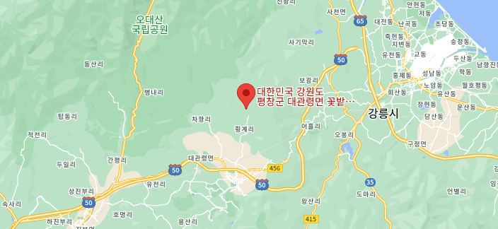 대관령 삼양목장