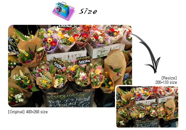 사진 크기 조절