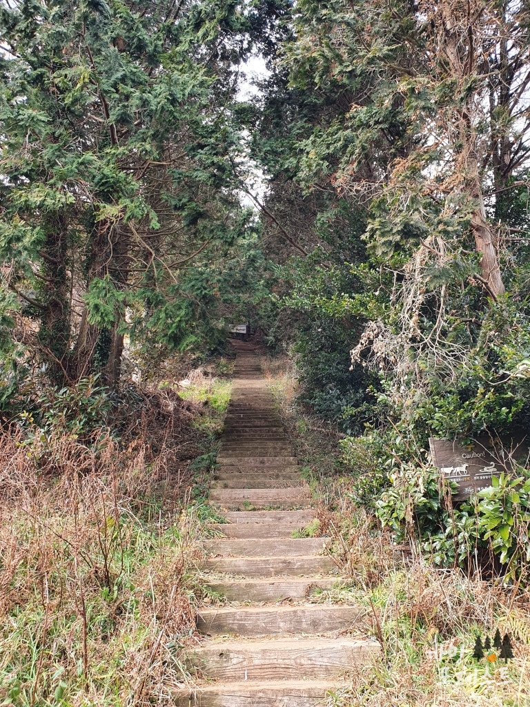 높은 오름 탐방로