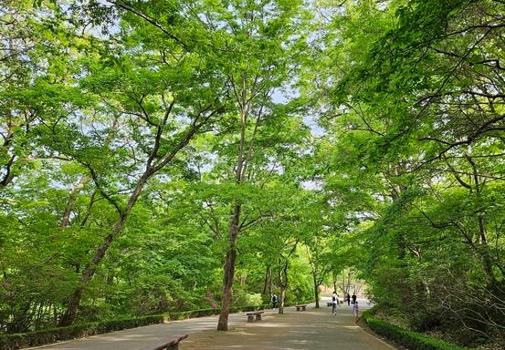 어린이날가볼만한곳best10