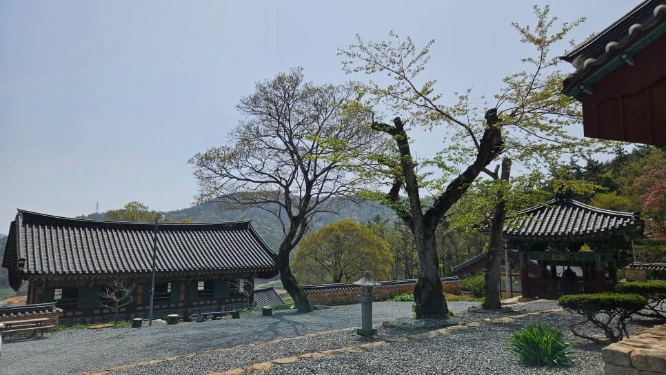 해남 서동사 : 보물 대웅전과 동백 숲이 건네는 천년의 위로