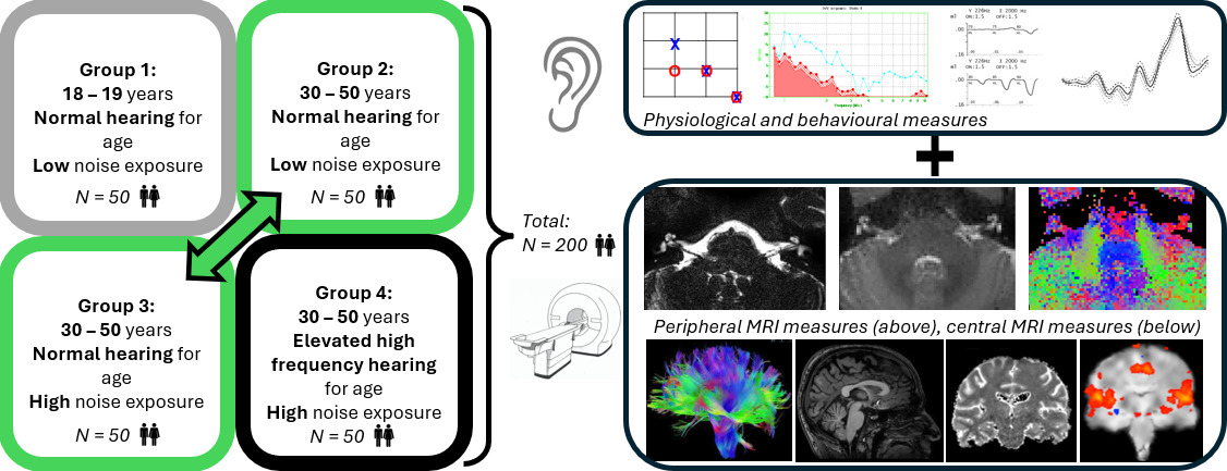 Waveform
High-frequency vibration pattern을 단순화한 파형