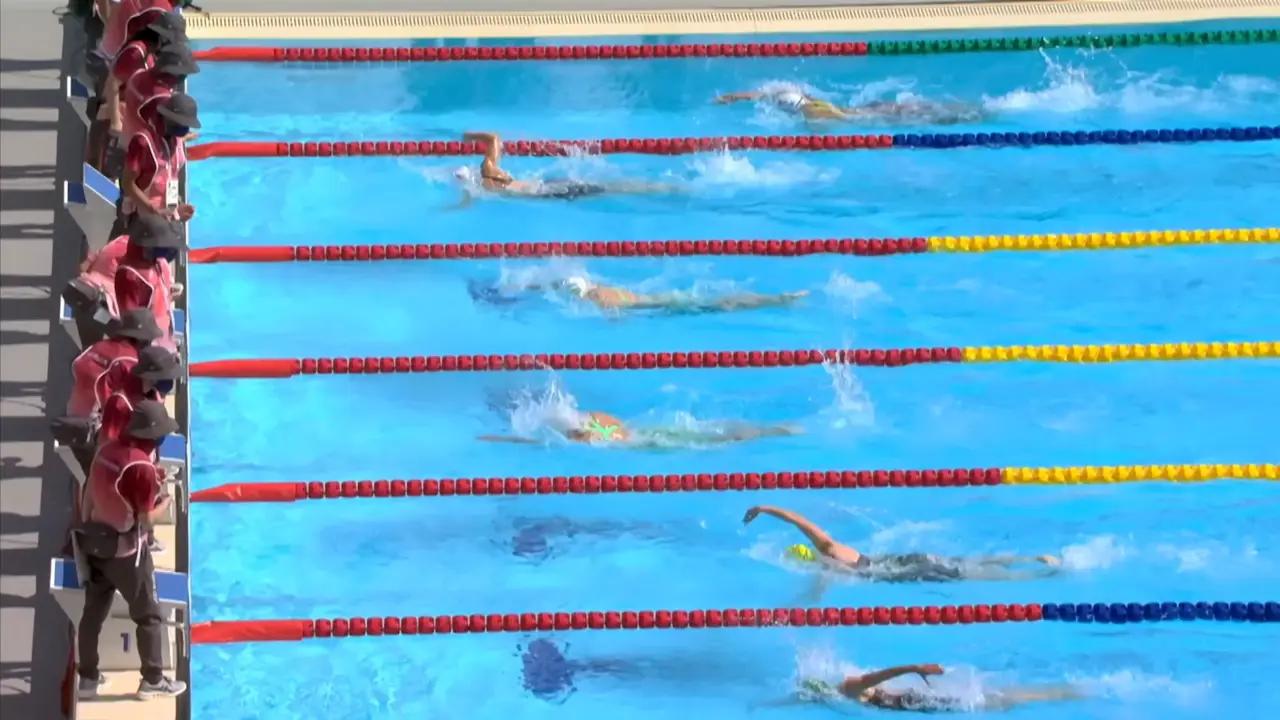 올림픽 경영(수영) 2024 파리 올림픽 수영(경영) 경기 일정