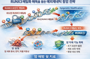 RUNX3 메틸화 해독