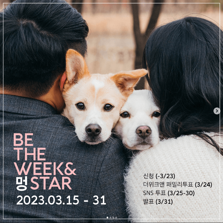 국제 강아지의 날 행사 정보