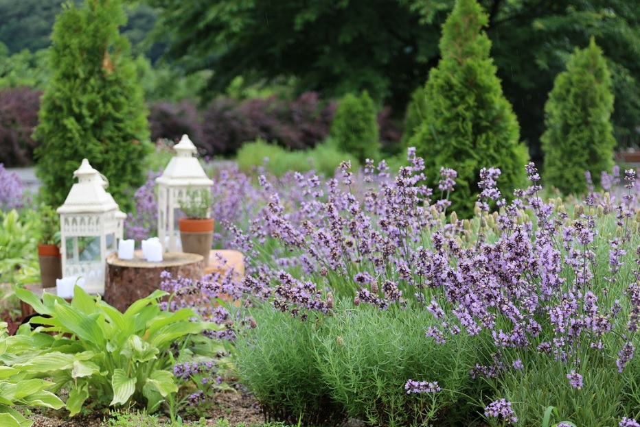 국립백두대간 수목원