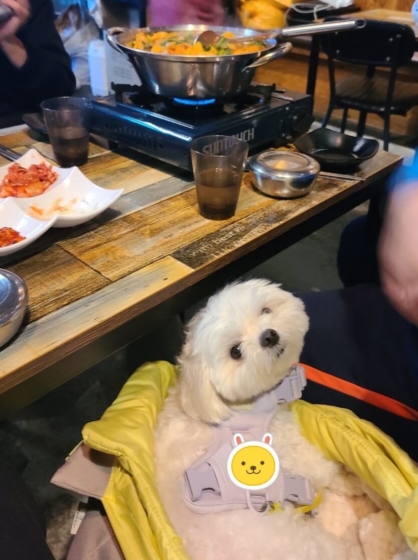 애견동반술집 대식가