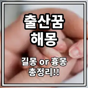 출산꿈