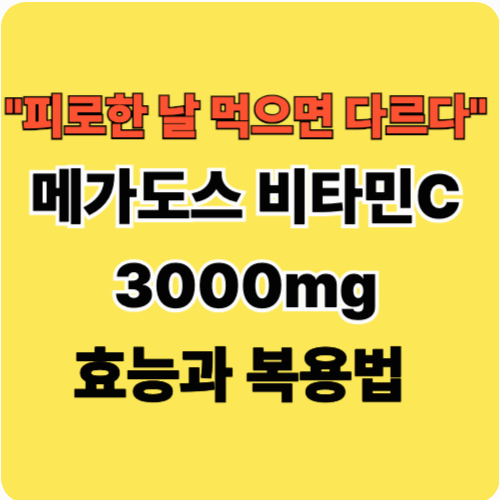 비타민C 메가도스 3000mg 효능과 복용법 총정리