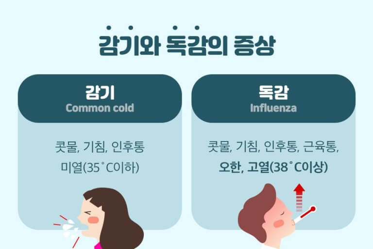 독감 증상