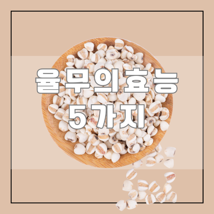율무의 효능