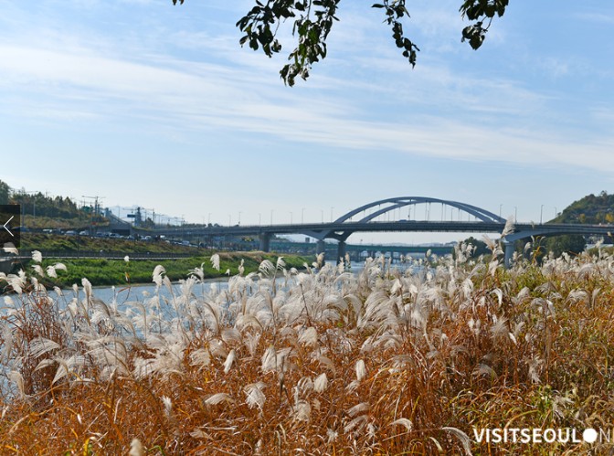 서울 단풍 명소 베스트 6