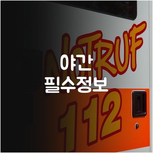 야간 수족구 대처법 진도군 응급실 이..
