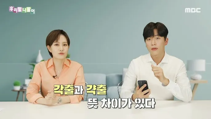갹출 뜻 각출과 갹출 각출 비교_5