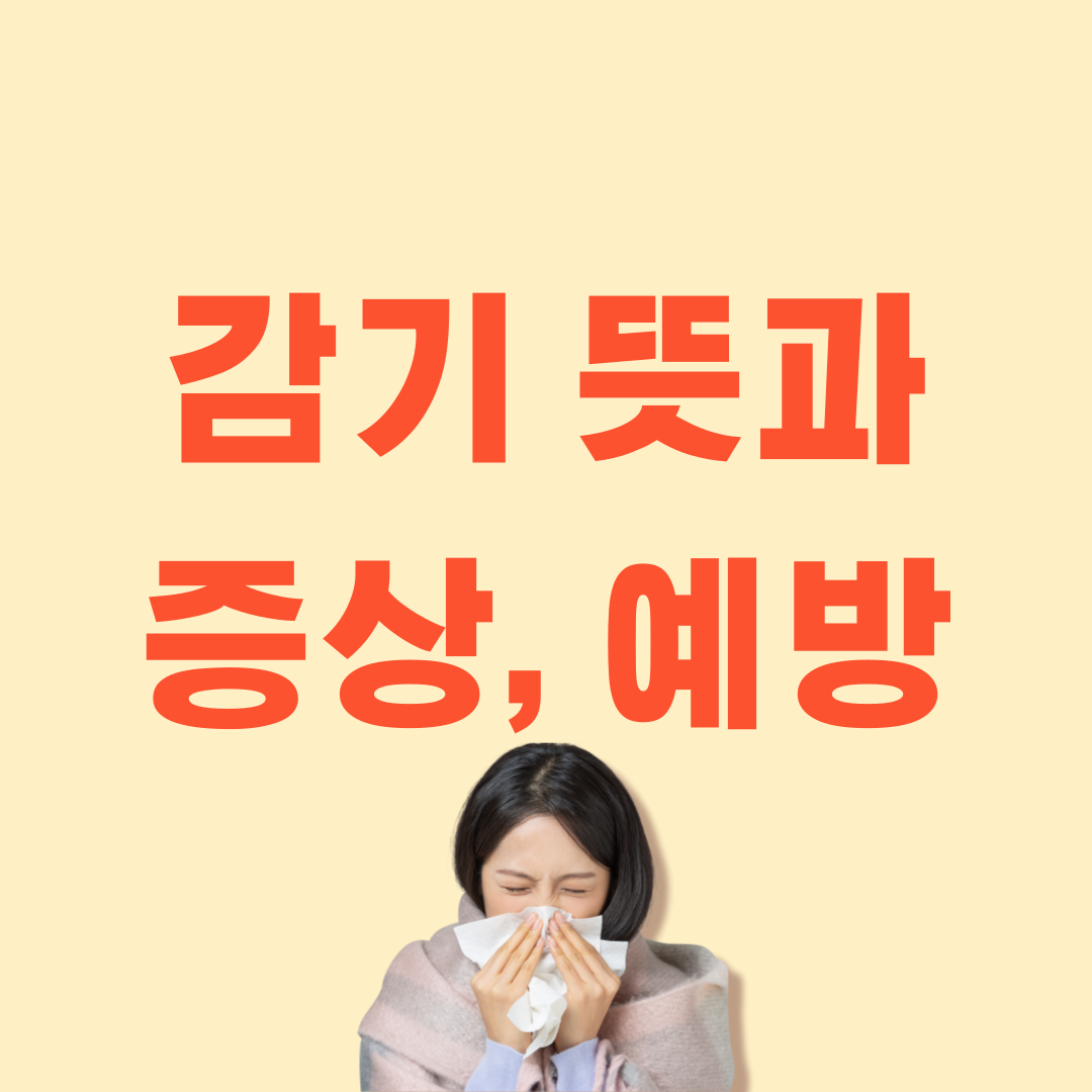 감기란? 뜻과 증상 및 예방 가이드