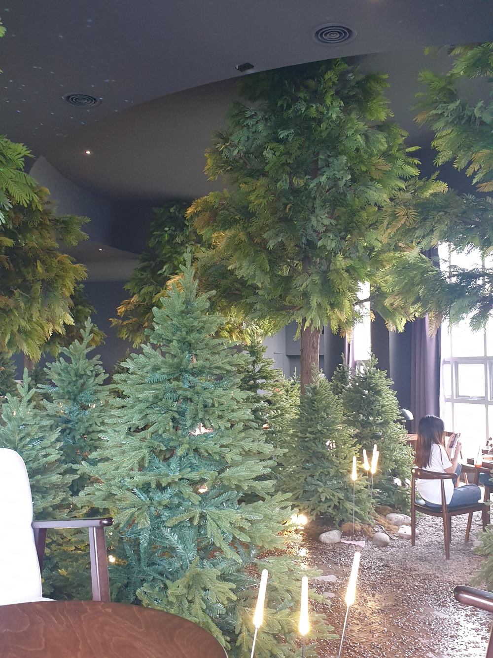 커튼이 열려 환해진 카페 내부