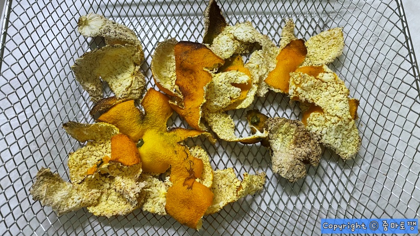 냄새잡는-귤-껍질