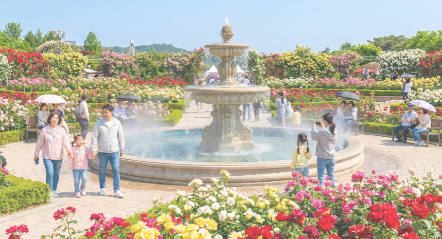 분수대 너머로 끝없이 펼쳐진 화려한 장미 정원과 산책하는 사람들