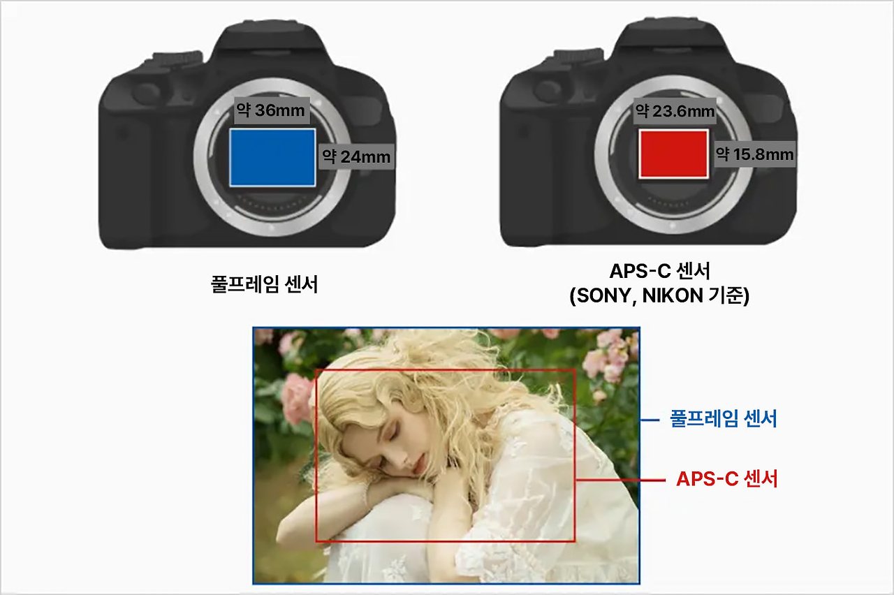 풀프레임과 APS-C 센서 크기 차이 비교 이미지